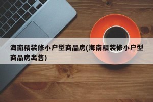 海南精装修小户型商品房(海南精装修小户型商品房出售)
