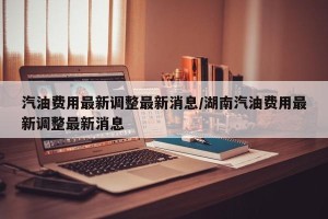 汽油费用最新调整最新消息/湖南汽油费用最新调整最新消息