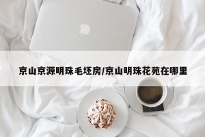 京山京源明珠毛坯房/京山明珠花苑在哪里