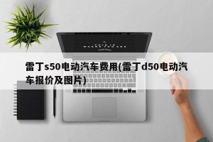 雷丁s50电动汽车费用(雷丁d50电动汽车报价及图片)